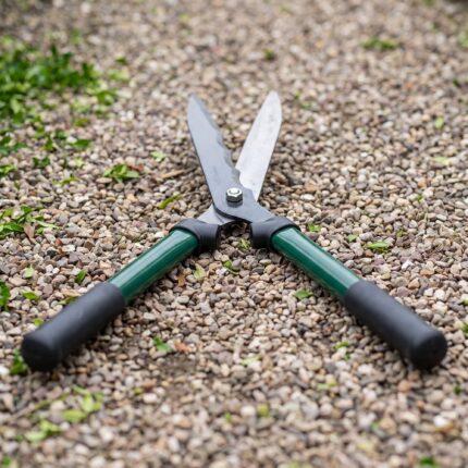 Boxwood hedge shears lying open on gravel with both blades and grips visible