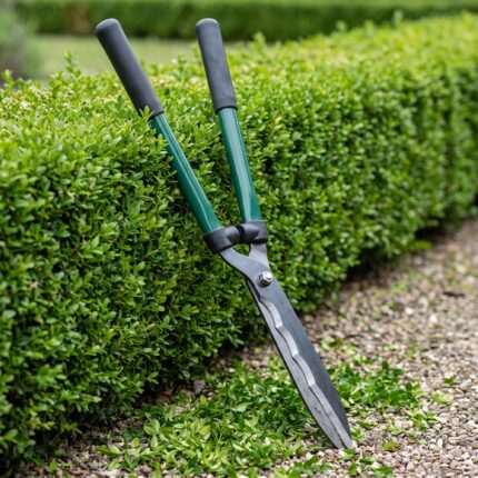 Boxwood 22 inch hedge shears leaning against a clipped hedge on a gravel path
