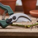 Close-up of the Fieldstone pruner blade edge, coiled spring and catch
