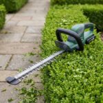 Hedgerow 40V cordless hedge trimmer resting on a clipped boxwood hedge