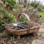 Orchard ratchet anvil pruner in a wicker garden trug filled with cut deadwood