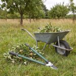Pruning Tools - Lawnower